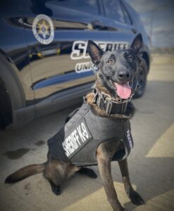 480960240_1099971832162431_5951003335841982099_n