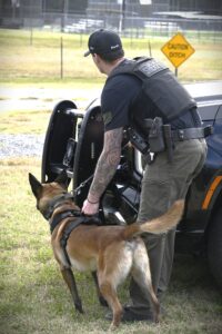 614921422_1362589699233975_3441537325498506346_n