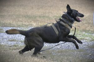 615350263_1362590452567233_4297165517751956025_n