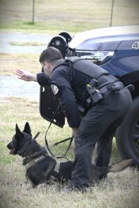 615923871_1362590159233929_4767115116602655809_n