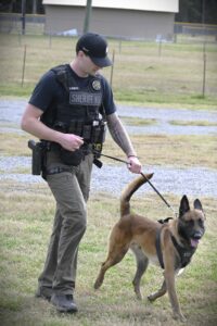 616383790_1362589765900635_7228321298470716902_n