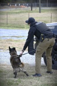 616706462_1362589589233986_2787331046411920972_n