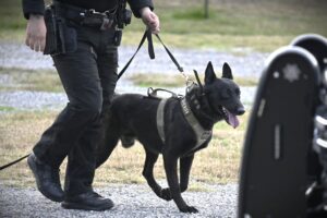 616820492_1362590372567241_1858291486653000207_n